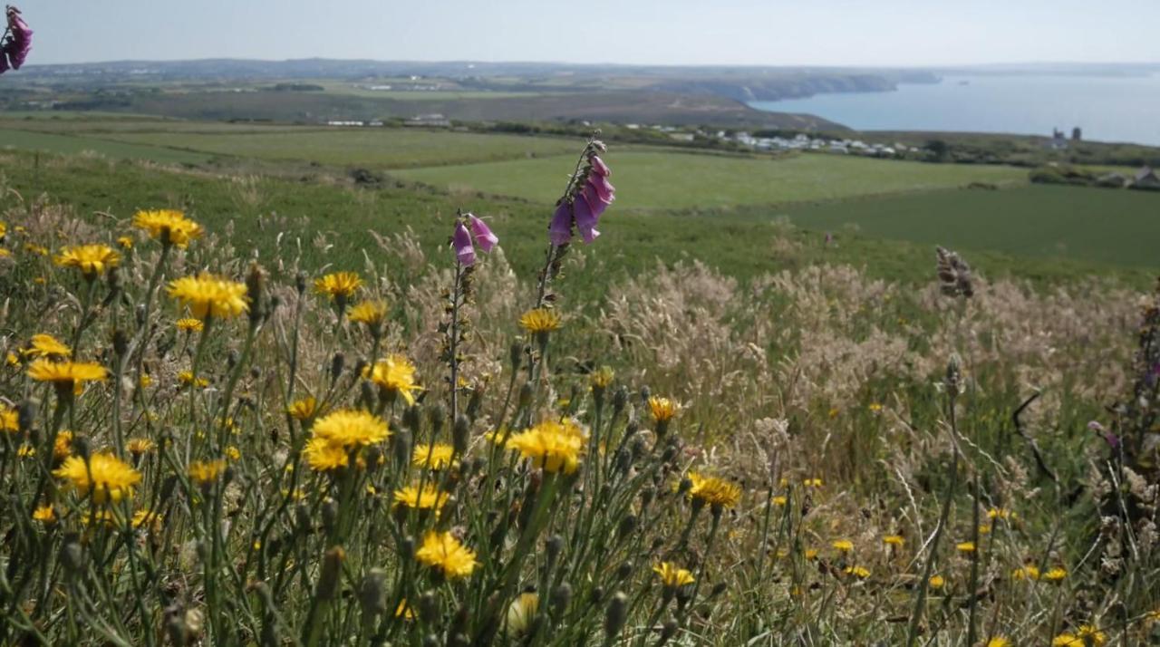 Beacon Country House Hotel & Luxury Shepherd Huts St Agnes  Zewnętrze zdjęcie